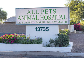 All store pets hospital