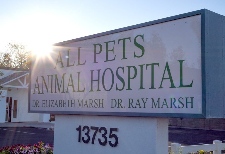 Hospital Tour | All Pets Animal Hospital | Peoria, AZ